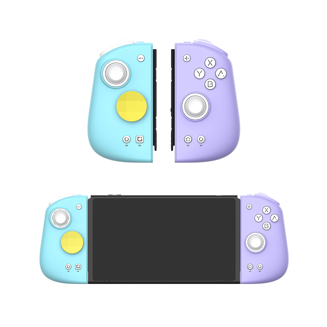 Nintendo Switch Joy Con With D Pad Nintendo Switch D-Pad Version